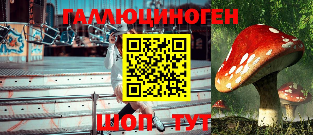 Богданович  Галлюциногенные грибы GOLDEN TEACHER  купить   Вход с VPN  Галлюциногенные грибы прущие грибы 